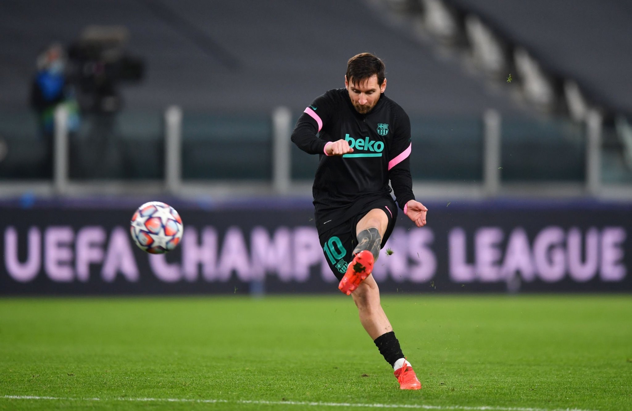 自培养体系 自培养体系